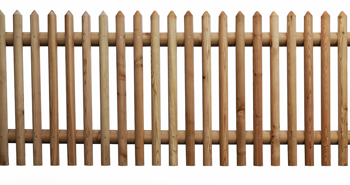 Zaunfeld Larix